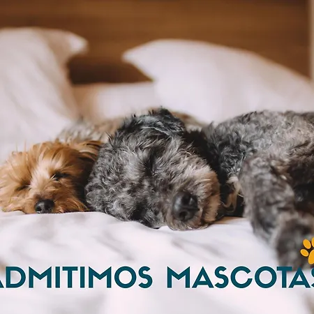 Appartamento La Maruca Loft 3000