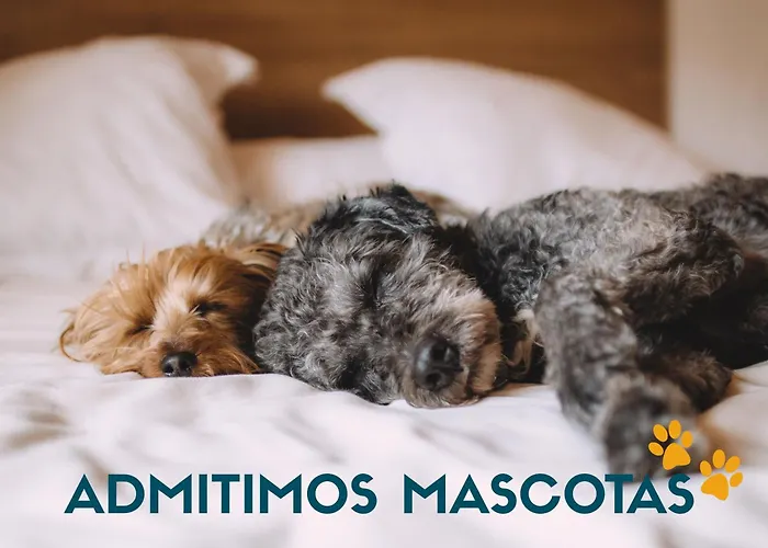 Apartamento La Maruca Loft 3000